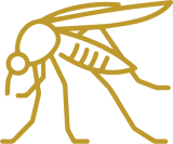 Ozonothérapie – Leishmaniose