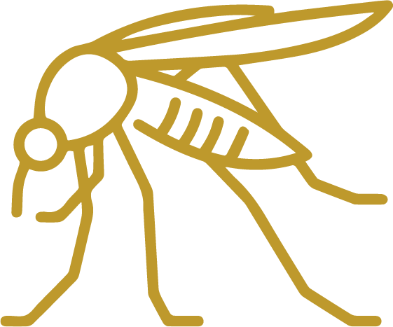 Ozonothérapie – Leishmaniose