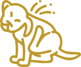 Ozonothérapie – Allergies