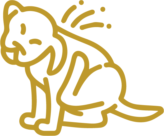 Ozonothérapie – Allergies