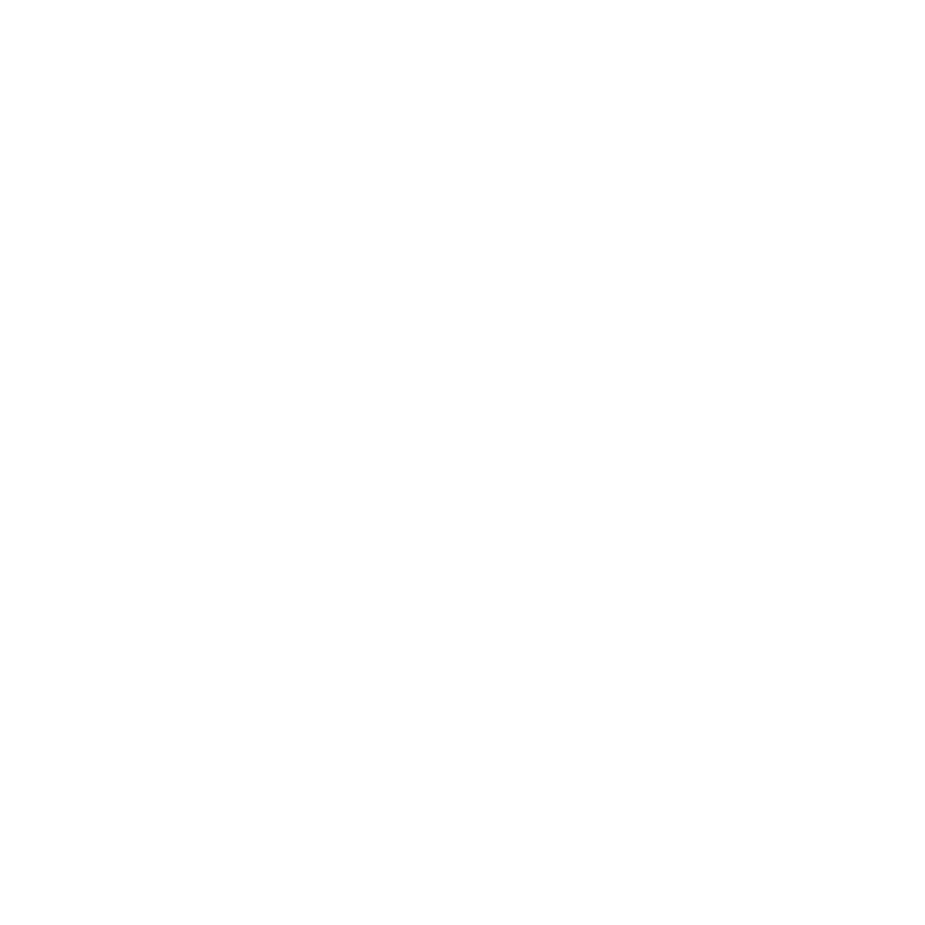 icone telephone