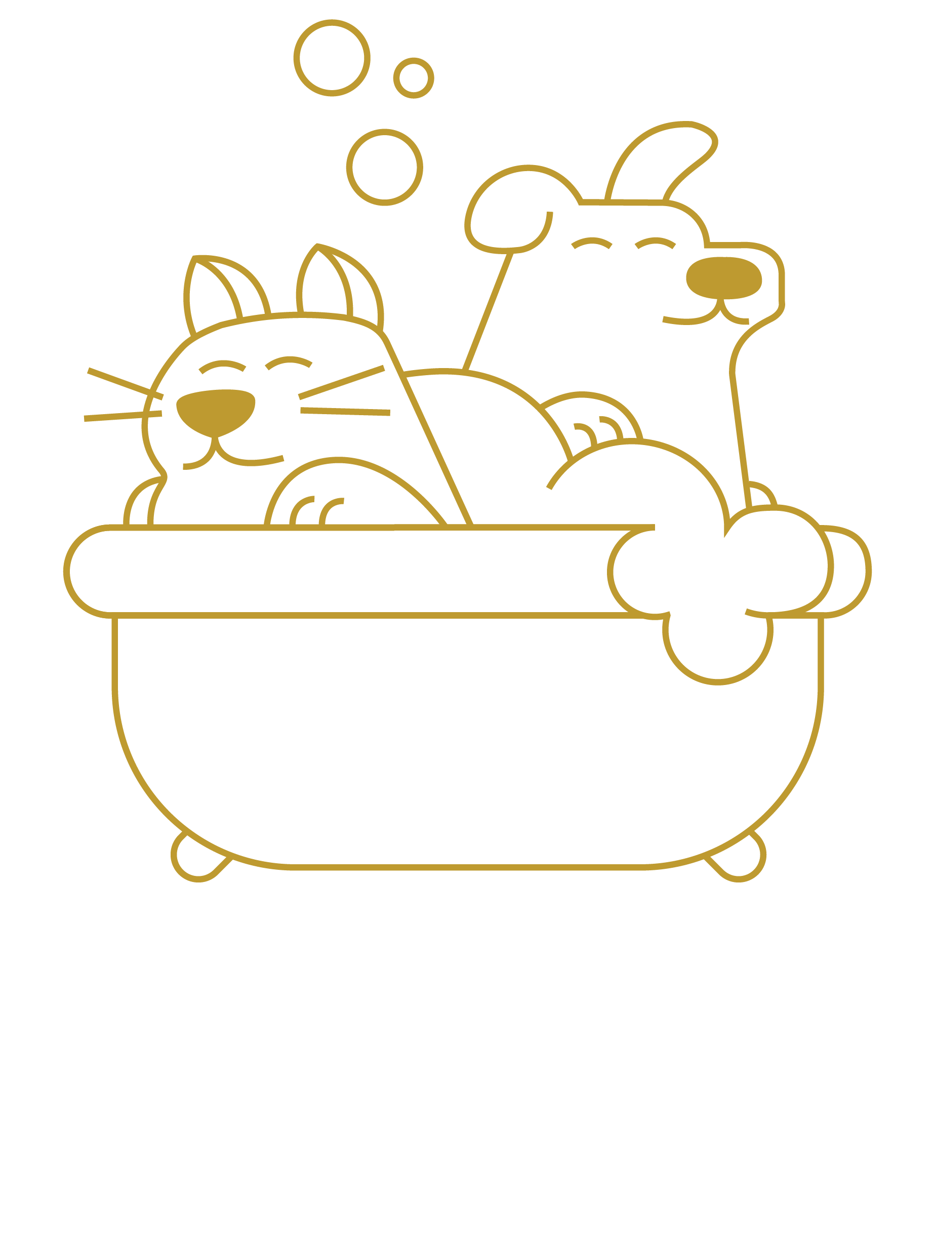 Logo de patapouf