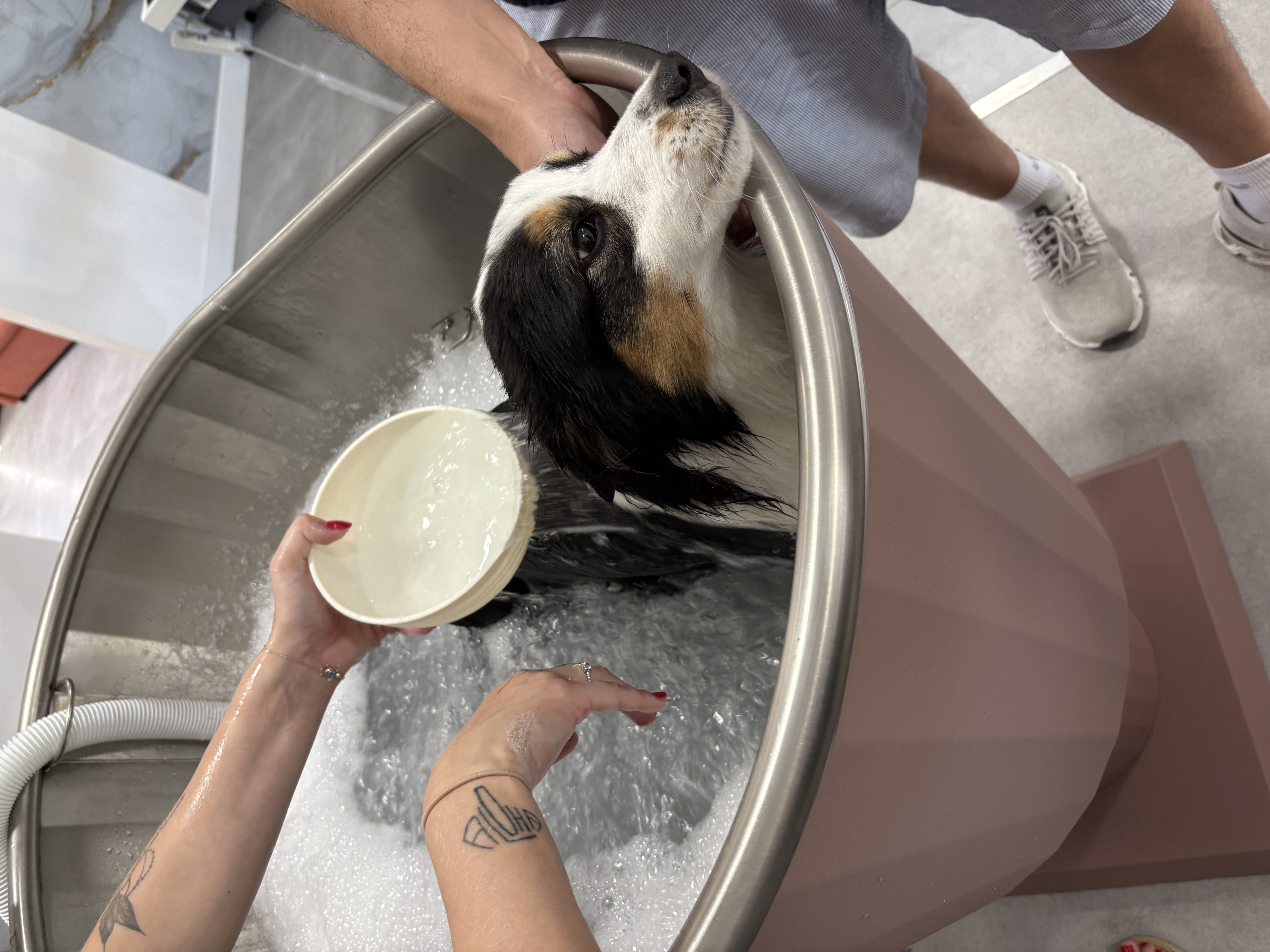 Spa / Ozonothérapie