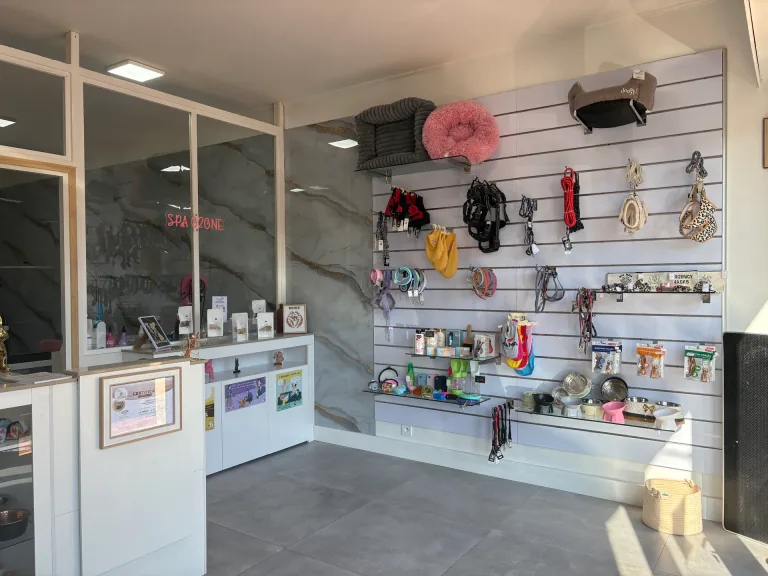 L'accessibilité du salon